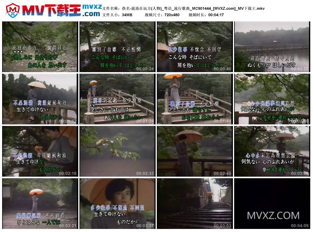 佚名-流浪在远方(人物)_粤语_流行歌曲_MC901444